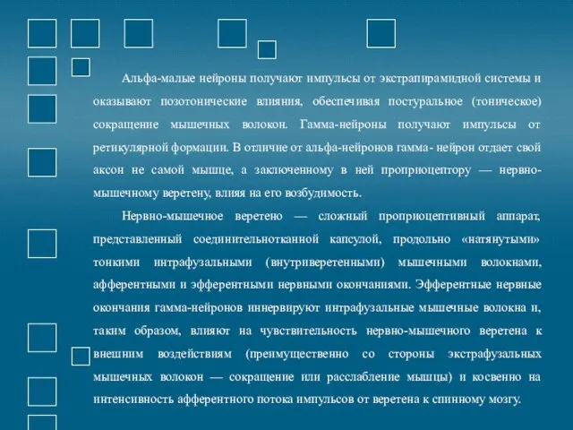 Альфа-малые нейроны получают импульсы от экстрапирамидной системы и оказывают позотонические влияния,