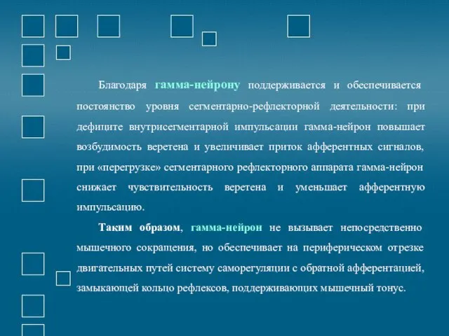 Благодаря гамма-нейрону поддерживается и обеспечивается постоянство уровня сегментарно-рефлекторной деятельности: при дефиците