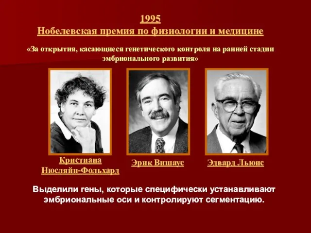 1995 Нобелевская премия по физиологии и медицине «За открытия, касающиеся генетического