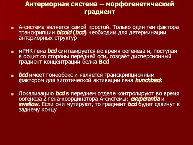 Антериорная система – морфогенетический градиент А-система является самой простой. Только один