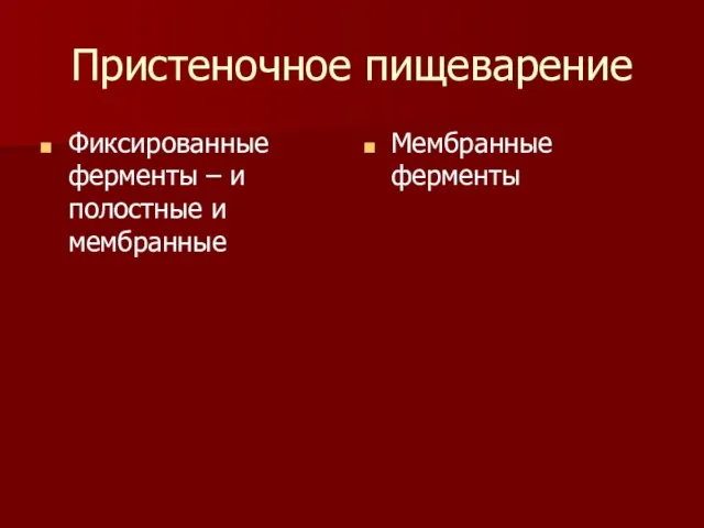 Пристеночное пищеварение Фиксированные ферменты – и полостные и мембранные Мембранные ферменты