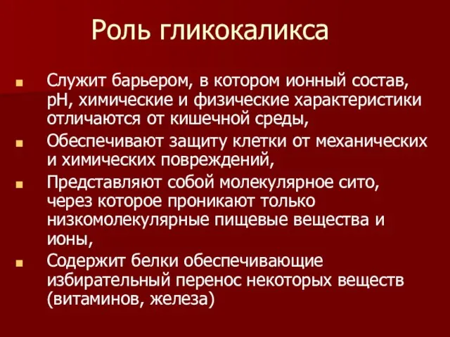 Роль гликокаликса Служит барьером, в котором ионный состав, рН, химические и