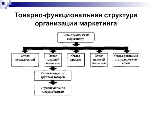 Товарно-функциональная структура организации маркетинга