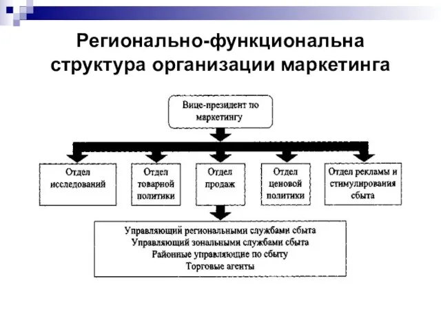 Регионально-функциональна структура организации маркетинга