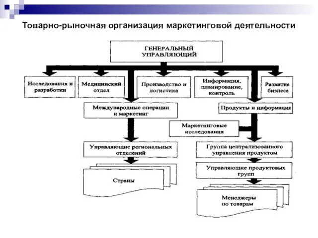 Товарно-рыночная организация маркетинговой деятельности