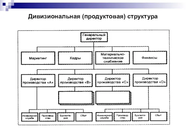 Дивизиональная (продуктовая) структура