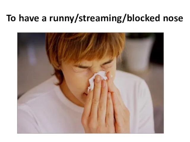 To have a runny/streaming/blocked nose