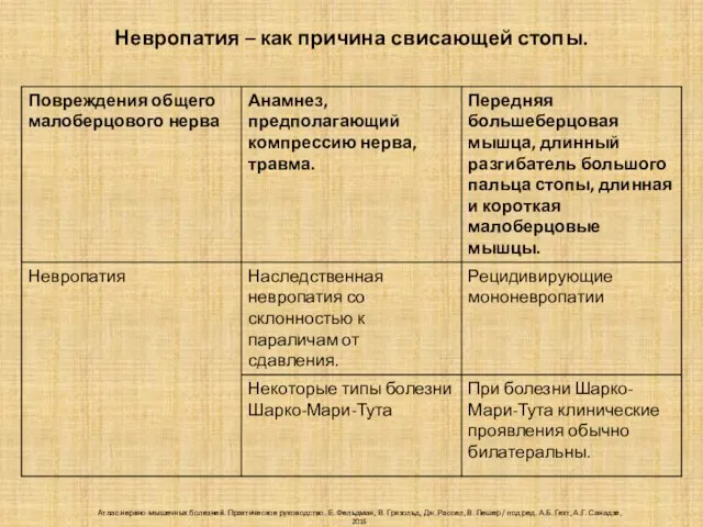 Невропатия – как причина свисающей стопы. Атлас нервно-мышечных болезней. Практическое руководство.