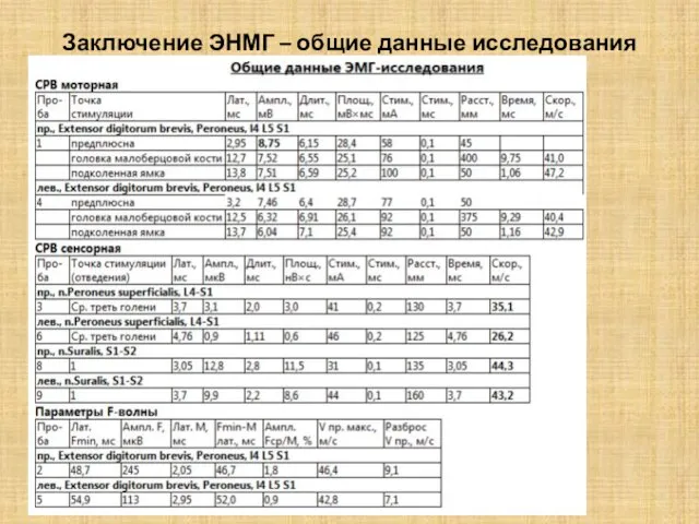 Заключение ЭНМГ – общие данные исследования