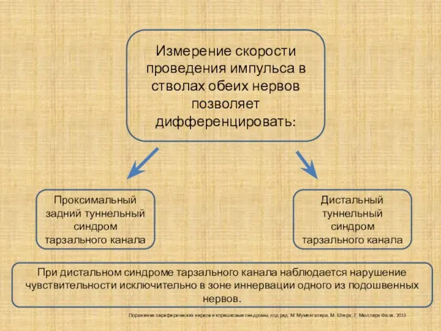 Измерение скорости проведения импульса в стволах обеих нервов позволяет дифференцировать: Проксимальный