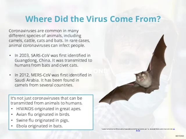 Where Did the Virus Come From? Coronaviruses are common in many