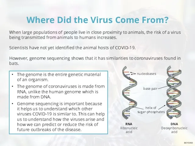 Where Did the Virus Come From? When large populations of people