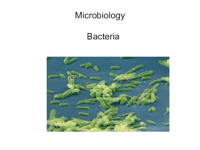 Microbiology Bacteria