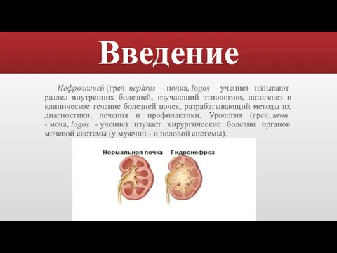 Введение Нефрологией (греч. nephros - почка, logos - учение) называют раздел