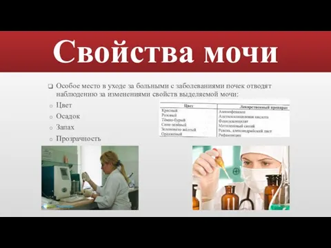 Свойства мочи Особое место в уходе за больными с заболеваниями почек