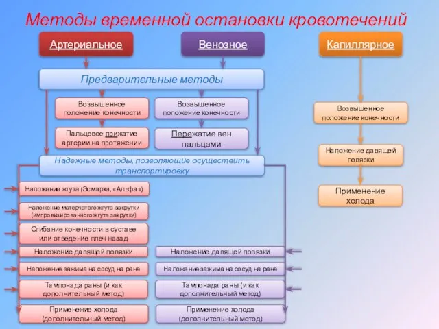 Методы временной остановки кровотечений Артериальное Венозное Капиллярное Предварительные методы Пальцевое прижатие