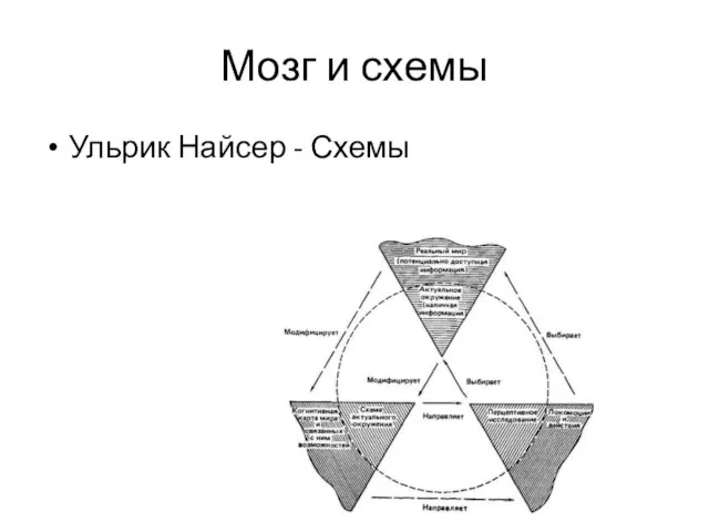 Мозг и схемы Ульрик Найсер - Схемы