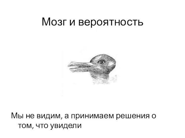 Мозг и вероятность Мы не видим, а принимаем решения о том, что увидели