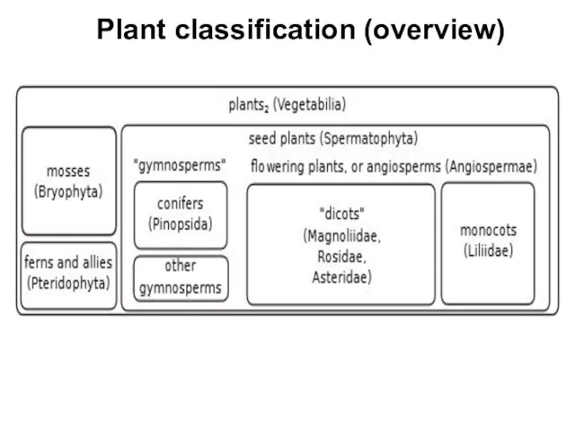 Plant classification (overview)