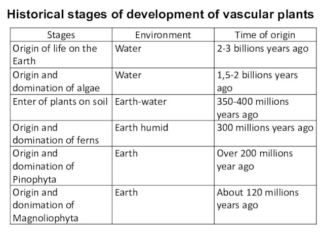 Historical stages of development of vascular plants