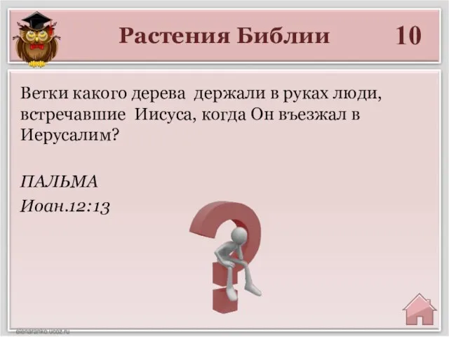 Растения Библии 10 ПАЛЬМА Иоан.12:13 Ветки какого дерева держали в руках