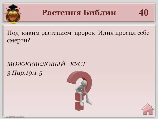 Растения Библии 40 МОЖЖЕВЕЛОВЫЙ КУСТ 3 Цар.19:1-5 Под каким растением пророк Илия просил себе смерти?