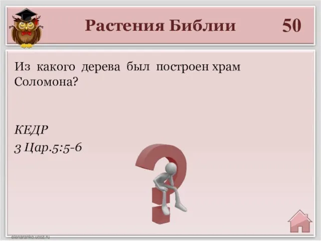 Растения Библии 50 КЕДР 3 Цар.5:5-6 Из какого дерева был построен храм Соломона?