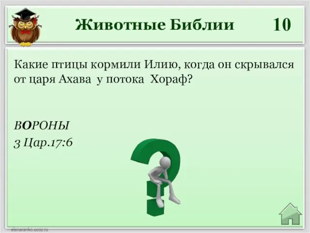 Животные Библии 10 ВОРОНЫ 3 Цар.17:6 Какие птицы кормили Илию, когда