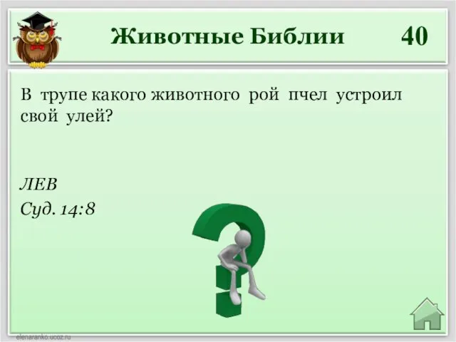 Животные Библии 40 ЛЕВ Суд. 14:8 В трупе какого животного рой пчел устроил свой улей?