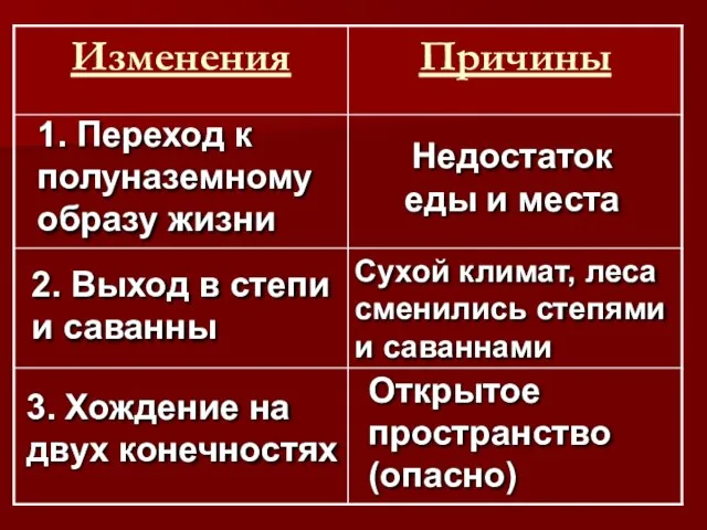 Недостаток еды и места 1. Переход к полуназемному образу жизни 2.