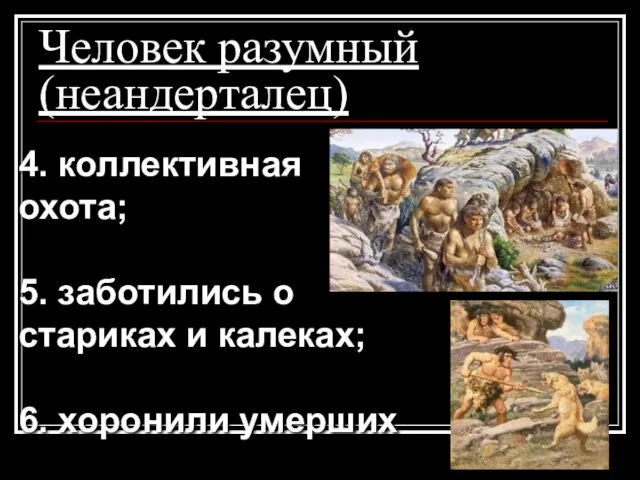 Человек разумный (неандерталец) 4. коллективная охота; 5. заботились о стариках и калеках; 6. хоронили умерших