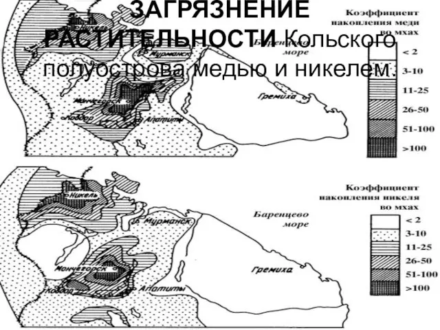 ЗАГРЯЗНЕНИЕ РАСТИТЕЛЬНОСТИ Кольского полуострова медью и никелем.