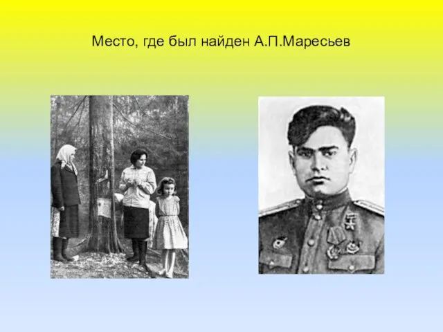 Место, где был найден А.П.Маресьев