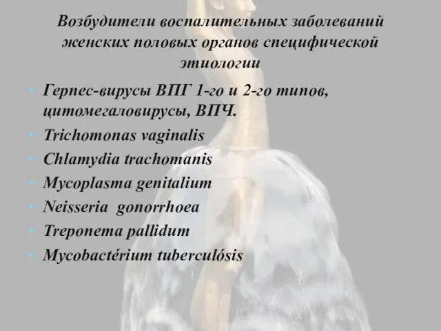 Возбудители воспалительных заболеваний женских половых органов специфической этиологии Герпес-вирусы ВПГ 1-го