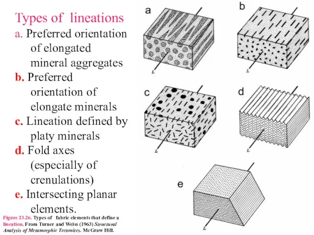 Types of lineations a. Preferred orientation of elongated mineral aggregates b.