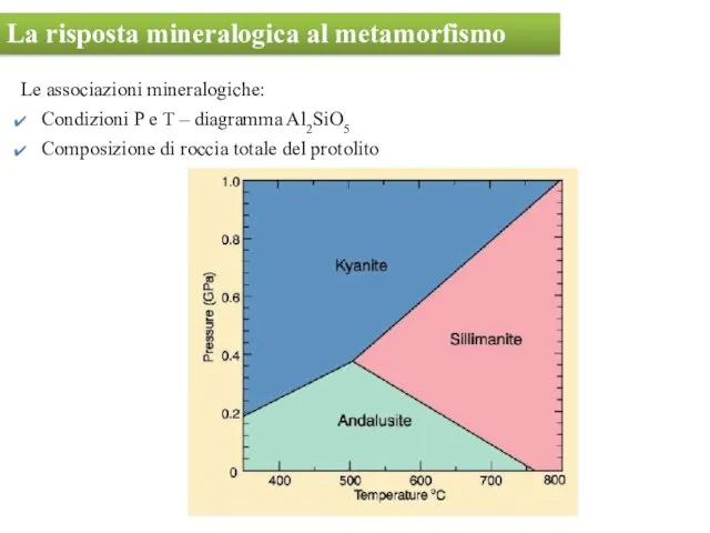 Le associazioni mineralogiche: Condizioni P e T – diagramma Al2SiO5 Composizione