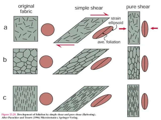 Figure 23.28. Development of foliation by simple shear and pure shear