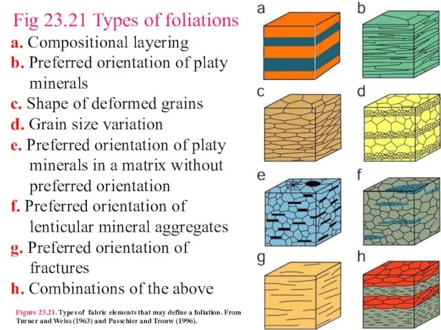 Fig 23.21 Types of foliations a. Compositional layering b. Preferred orientation