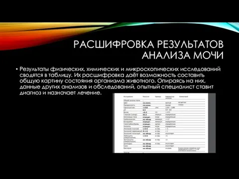 РАСШИФРОВКА РЕЗУЛЬТАТОВ АНАЛИЗА МОЧИ Результаты физических, химических и микроскопических исследований сводятся