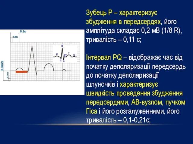 Зубець P – характеризує збудження в передсердях, його амплітуда складає 0,2