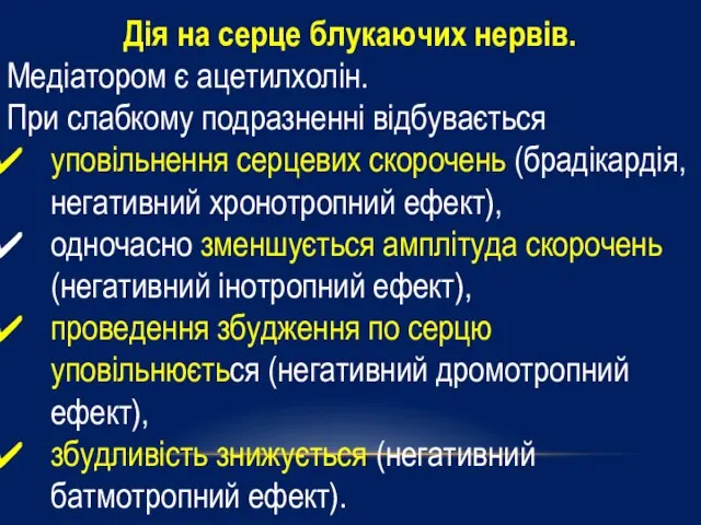 Дія на серце блукаючих нервів. Медіатором є ацетилхолін. При слабкому подразненні