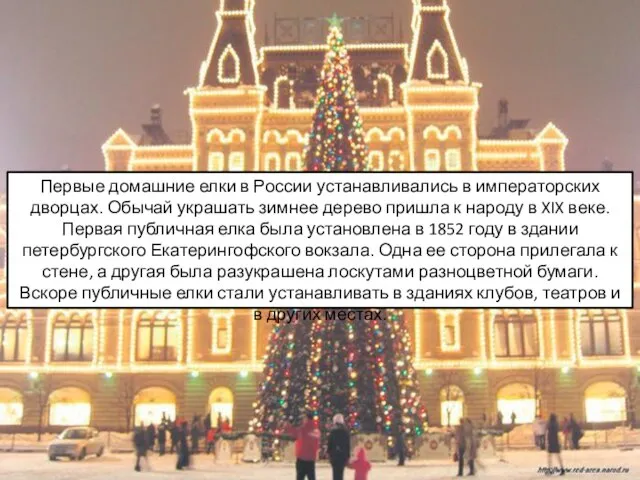 Первые домашние елки в России устанавливались в императорских дворцах. Обычай украшать