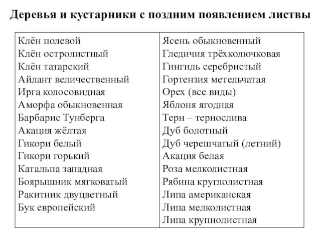 Деревья и кустарники с поздним появлением листвы