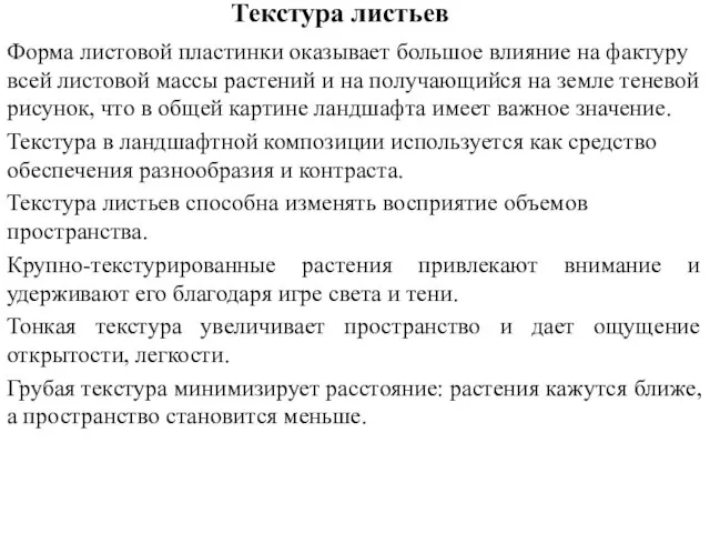 Текстура листьев Форма листовой пластинки оказывает большое влияние на фактуру всей