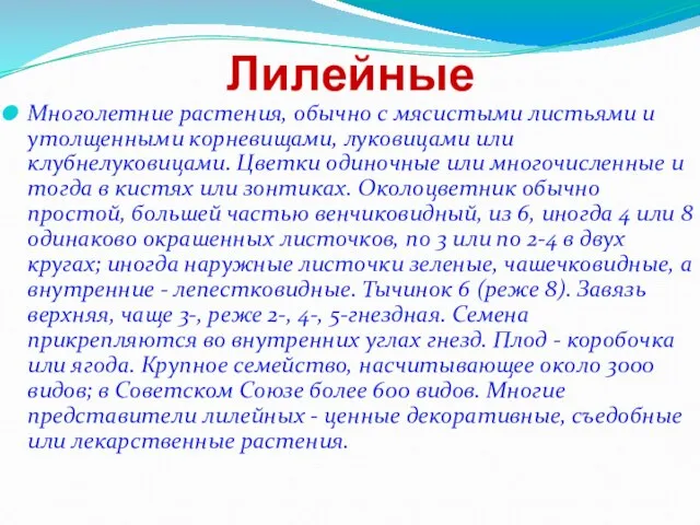 Лилейные Многолетние растения, обычно с мясистыми листьями и утолщенными корневищами, луковицами