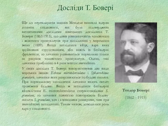 Ще до перевідкритія законів Менделя виникла ядерна гіпотеза спадковості, яка була