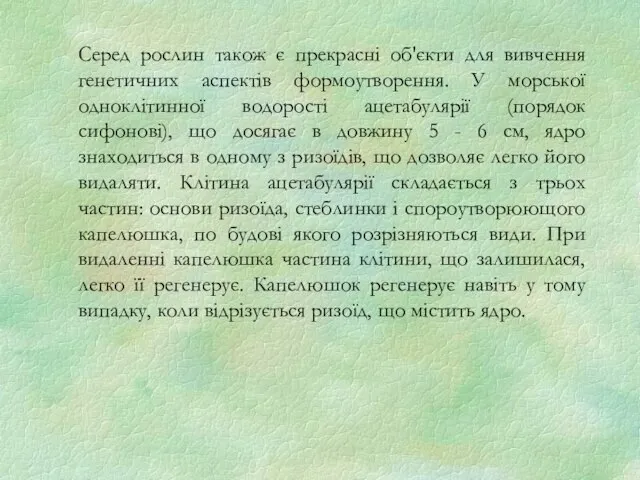 Серед рослин також є прекрасні об'єкти для вивчення генетичних аспектів формоутворення.