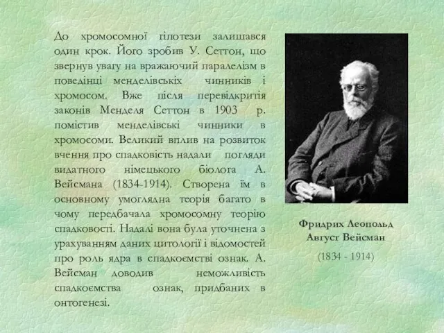 До хромосомної гіпотези залишався один крок. Його зробив У. Сеттон, що