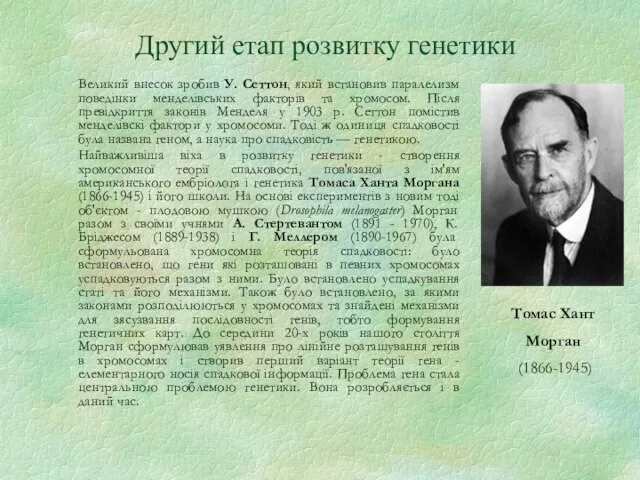 Другий етап розвитку генетики Великий внесок зробив У. Сеттон, який встановив