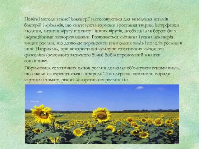 Новітні методи генної інженерії застосовуються для виведення штамів бактерій і дріжджів,